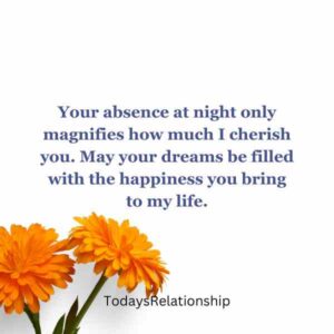 Your absence at night only magnifies how much I cherish you. May your dreams be filled with the happiness you bring to my life.