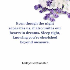 Even though the night separates us, it also unites our hearts in dreams. Sleep tight, knowing you're cherished beyond measure.