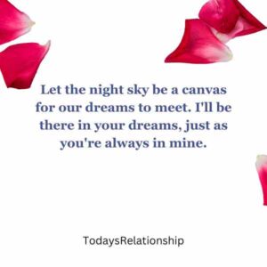 Let the night sky be a canvas for our dreams to meet. I'll be there in your dreams, just as you're always in mine.