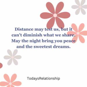 Distance may test us, but it can't diminish what we share. May the night bring you peace and the sweetest dreams.
