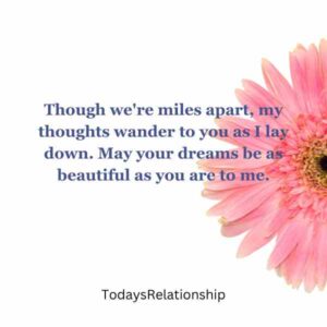 Though we're miles apart, my thoughts wander to you as I lay down. May your dreams be as beautiful as you are to me.