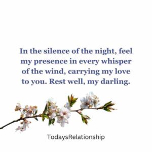 In the silence of the night, feel my presence in every whisper of the wind, carrying my love to you. Rest well, my darling.