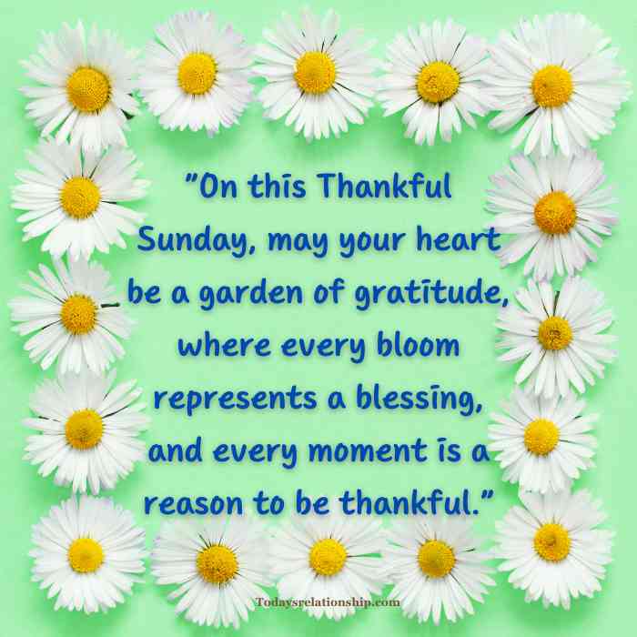 Thankful Sunday Blessings