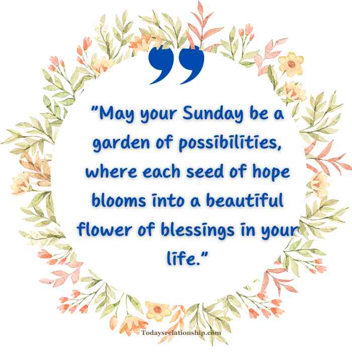 Happy Sunday Blessings